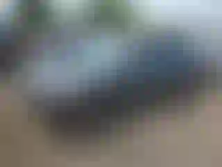 Vehicle Image- 2024 Kia Seltos