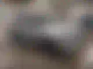 Vehicle Image- 2025 Kia Seltos