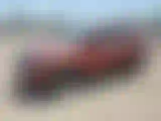 Vehicle Image- 2021 Kia Seltos