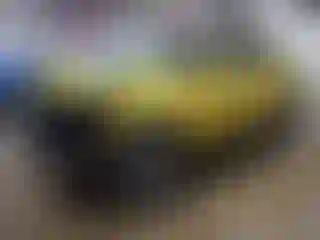 Vehicle Image- 2023 Kia Seltos