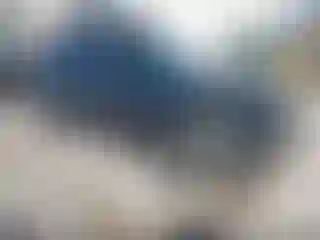 Vehicle Image- 2021 Kia Seltos