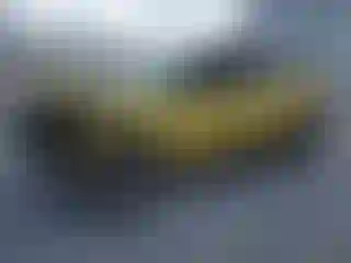 Vehicle Image- 2021 Kia Seltos