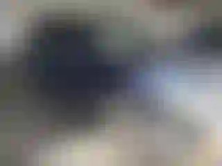 Vehicle Image- 2021 Kia Seltos