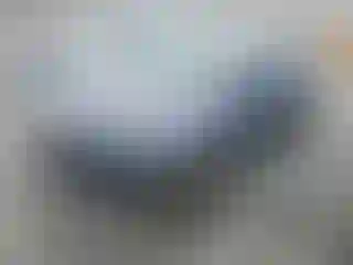 Vehicle Image- 2024 Kia Seltos