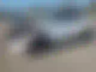 Vehicle Image- 2024 Kia Seltos