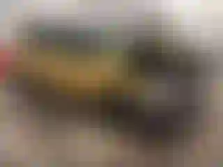 Vehicle Image- 2024 Kia Seltos