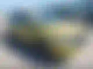 Vehicle Image- 2024 Kia Seltos