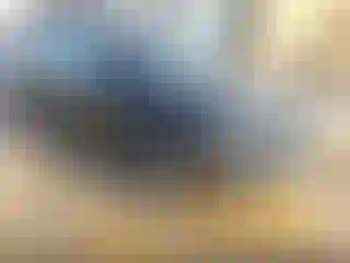 Vehicle Image- 2021 Kia Seltos