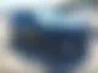 Vehicle Image- 2022 Kia Seltos