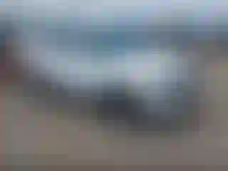 Vehicle Image- 2024 Kia Seltos