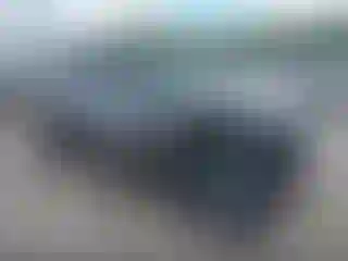 Vehicle Image- 2021 Kia Seltos