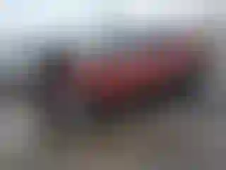 Vehicle Image- 2024 Kia Seltos
