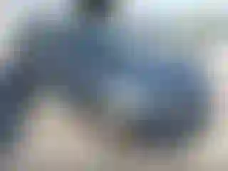 Vehicle Image- 2024 Kia Seltos