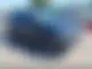 Vehicle Image- 2024 Kia Seltos