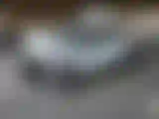 Vehicle Image- 2021 Kia Seltos