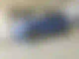 Vehicle Image- 2021 Kia Seltos