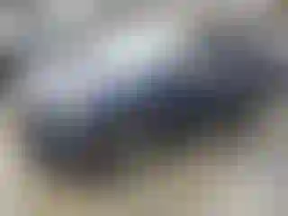 Vehicle Image- 2022 Kia Seltos