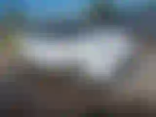 Vehicle Image- 2025 Kia Soul