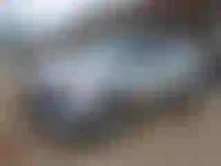 Vehicle Image- 2021 Kia Soul