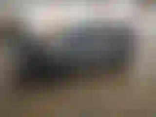 Vehicle Image- 2021 Kia Soul