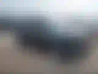 Vehicle Image- 2022 Kia Soul