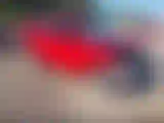 Vehicle Image- 2022 Kia Soul