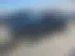 Vehicle Image- 2021 Kia Soul