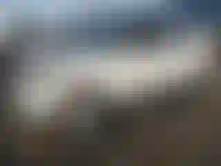 Vehicle Image- 2024 Kia Soul