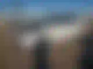 Vehicle Image- 2025 Kia Soul