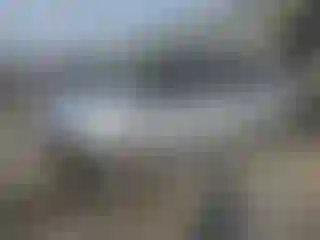 Vehicle Image- 2020 Kia Soul