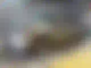 Vehicle Image- 2024 Kia Soul