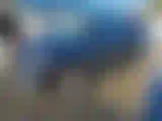 Vehicle Image- 2020 Kia Soul