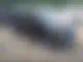 Vehicle Image- 2020 Kia Soul