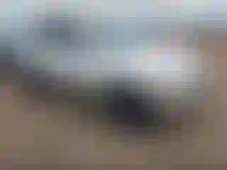 Vehicle Image- 2003 Kia Sorento