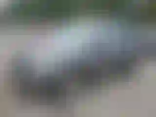 Vehicle Image- 2003 Kia Sorento