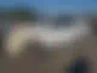 Vehicle Image- 2006 Kia Sorento