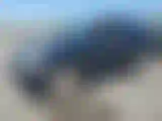 Vehicle Image- 2006 Kia Sorento