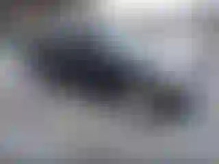 Vehicle Image- 2007 Kia Sorento