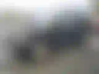 Vehicle Image- 2009 Kia Sorento