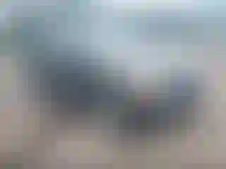 Vehicle Image- 2007 Kia Sorento