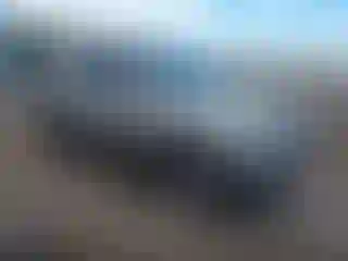 Vehicle Image- 2004 Kia Sorento