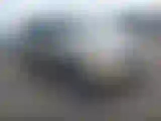 Vehicle Image- 2008 Kia Sorento