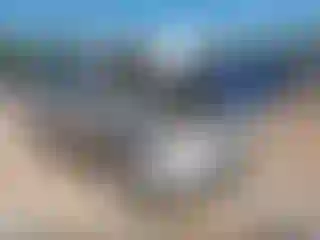 Vehicle Image- 2008 Kia Sorento