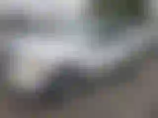 Vehicle Image- 2007 Kia Sorento