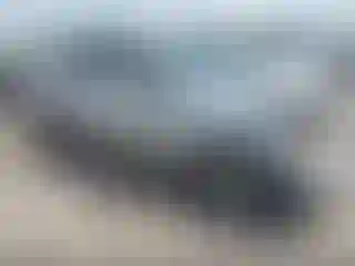 Vehicle Image- 2007 Kia Sorento