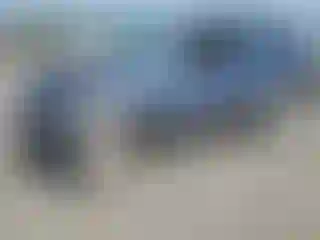 Vehicle Image- 2007 Kia Sorento