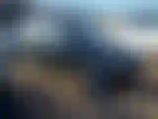 Vehicle Image- 2007 Kia Sorento