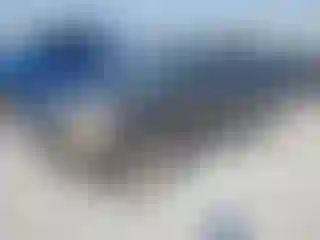 Vehicle Image- 2006 Kia Sportage