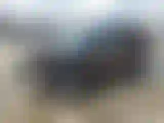 Vehicle Image- 2006 Kia Sportage