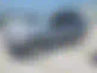 Vehicle Image- 2006 Kia Sportage